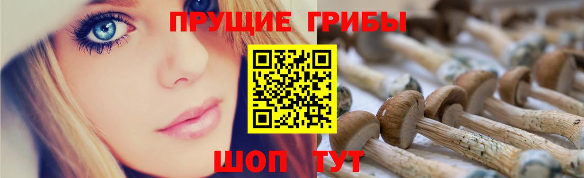 Семилуки  Галлюциногенные грибы MAGIC MUSHROOMS  Вход с VPN 